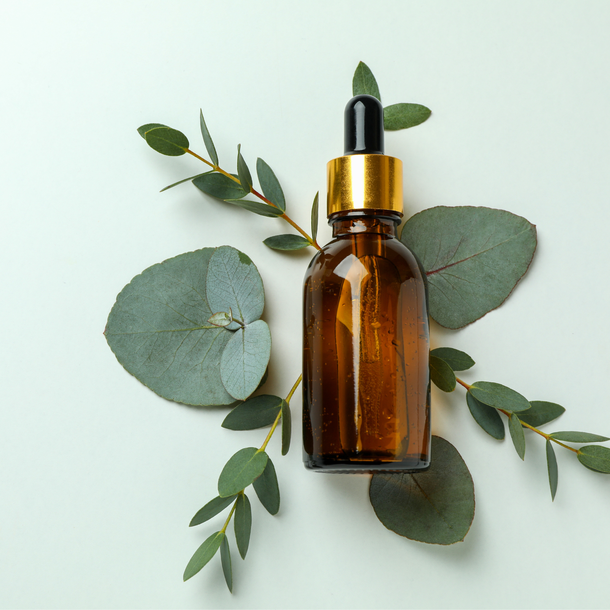 Pure Eucalyptus Essential Oil