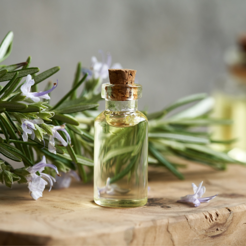 Rosemary Herbs